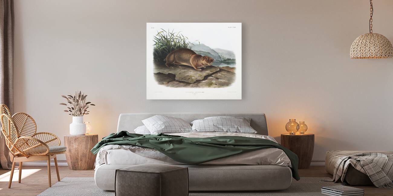 Sewellel Aplodontia leporina  Reproduction