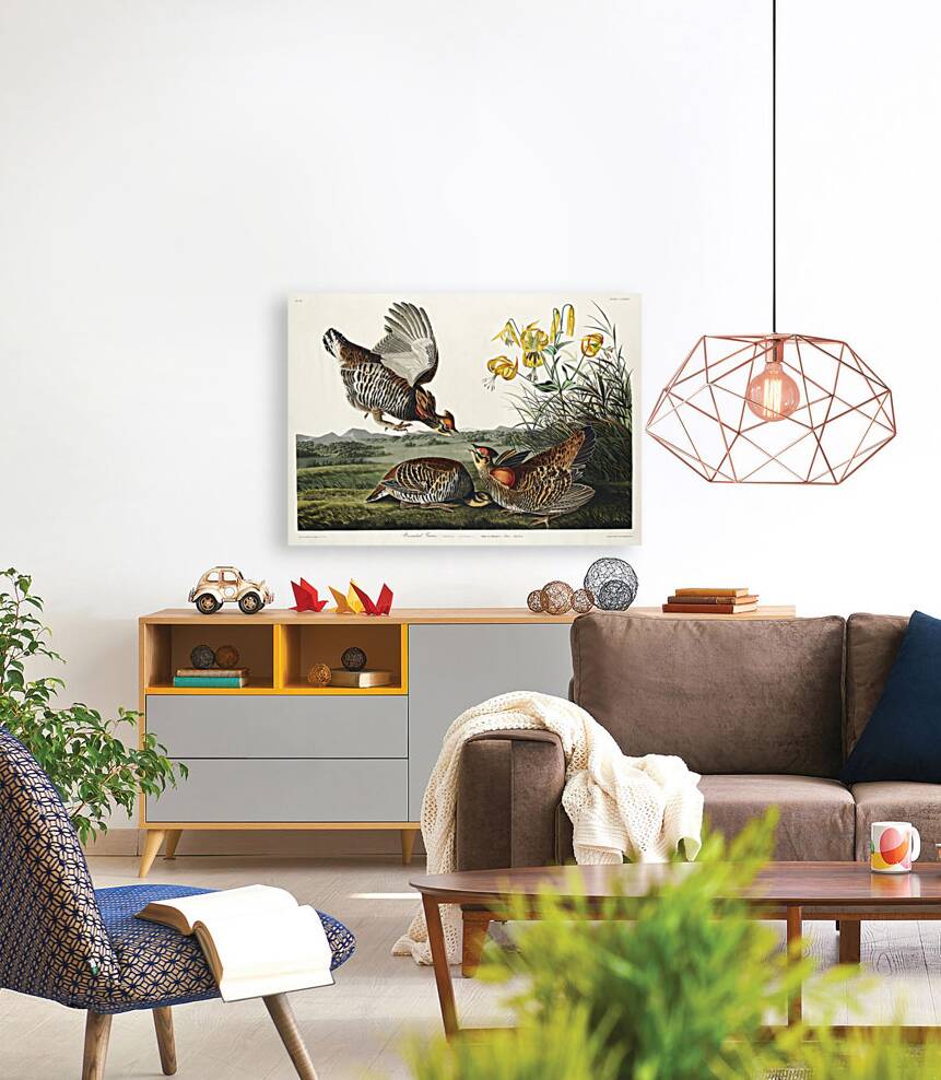 Wandering Shearwater Reproduction