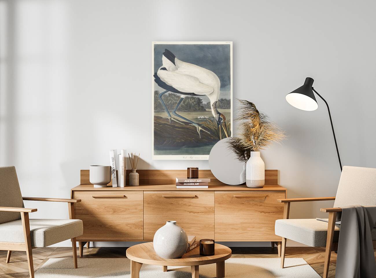 Wood Ibiss Reproduction