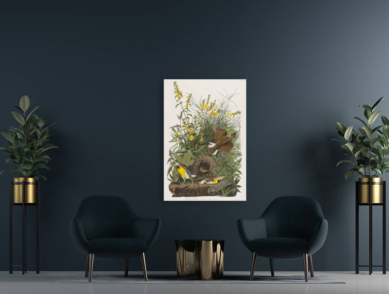 Meadow Lark Reproduction