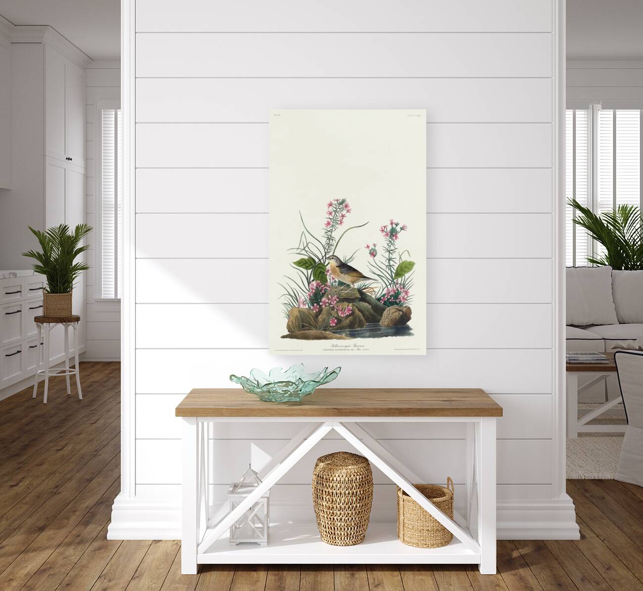 Yellow-winged Sparrow Reproduction