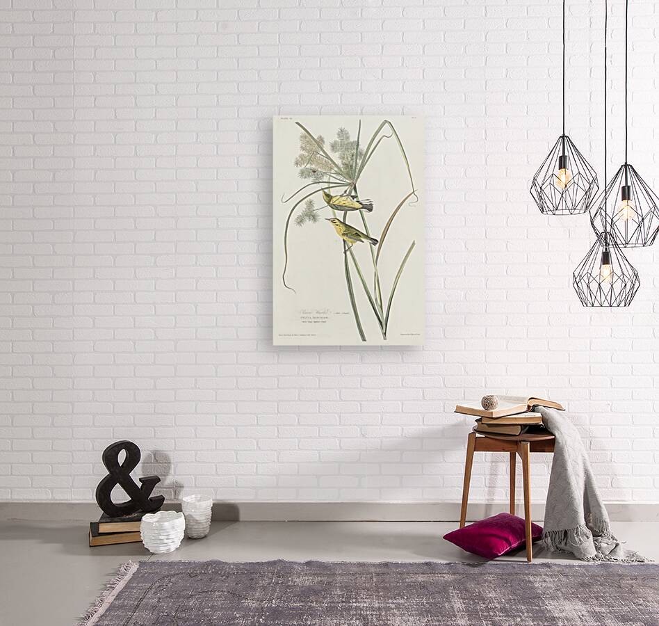 Prairie Warbler Reproduction