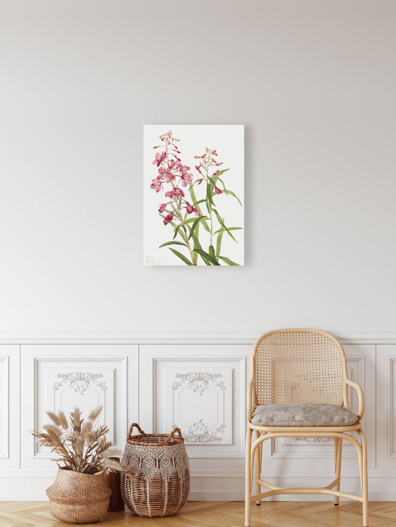 Fireweed Epilobium angustifolium 1902 Reproduction