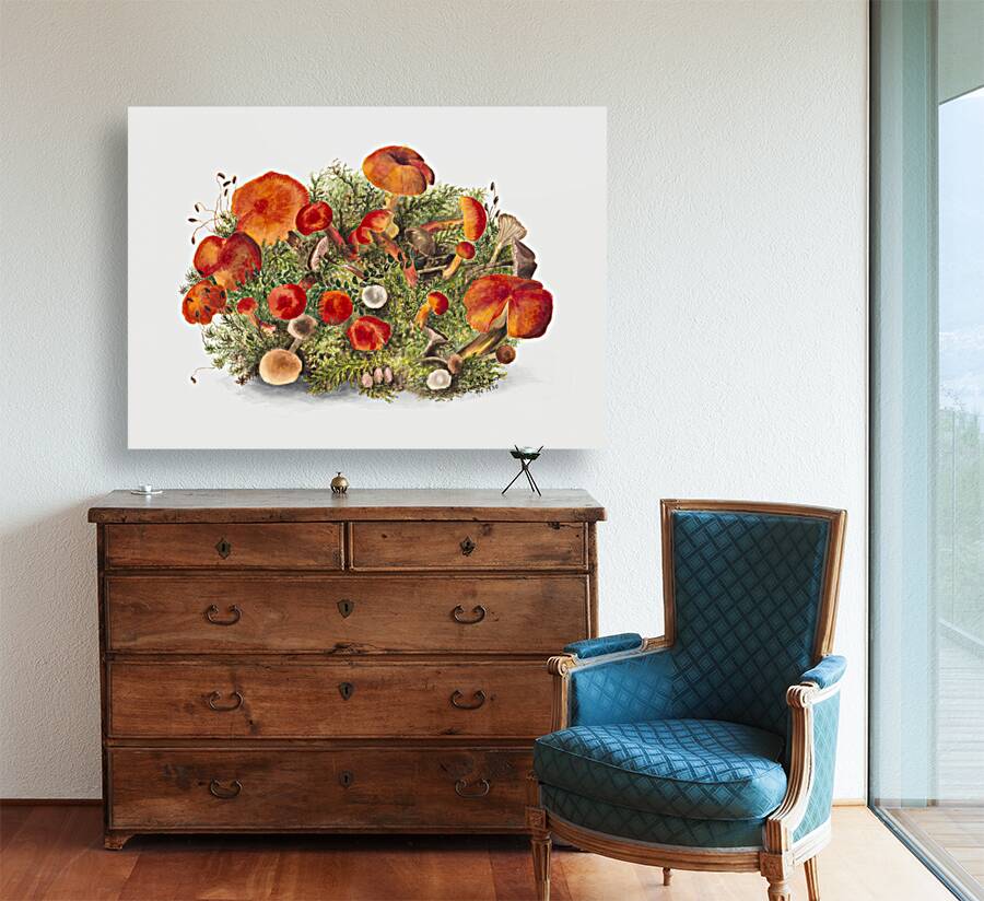 Study of Mushrooms 1880 Reproduction