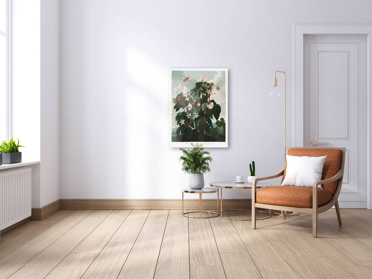 The Oblique–Leaved Begonia Reproduction