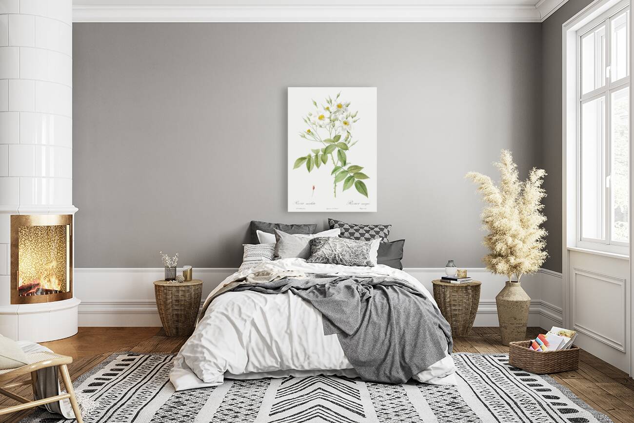 Vintage musk rose Reproduction