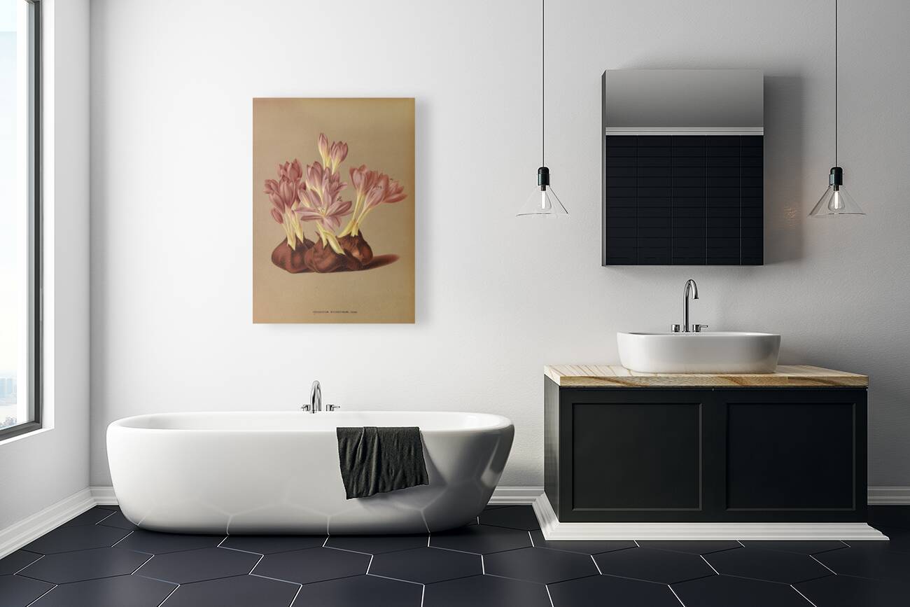 Album van Eeden : Haarlems flora : 1872-1881 Reproduction