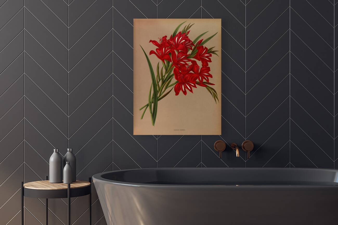 Album van Eeden : Haarlems flora : 1872-1881 Reproduction