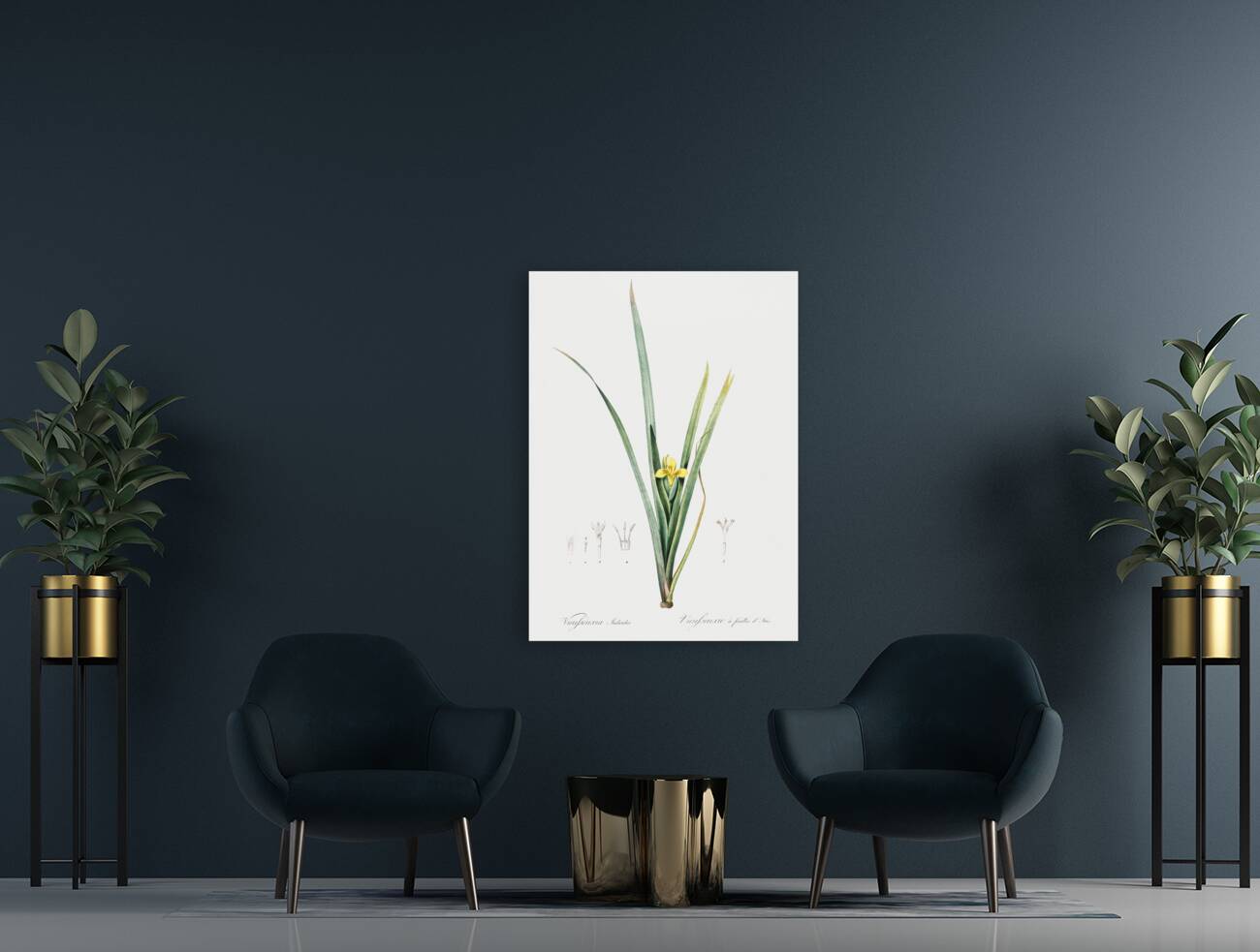 Yellow iris illustration  Reproduction