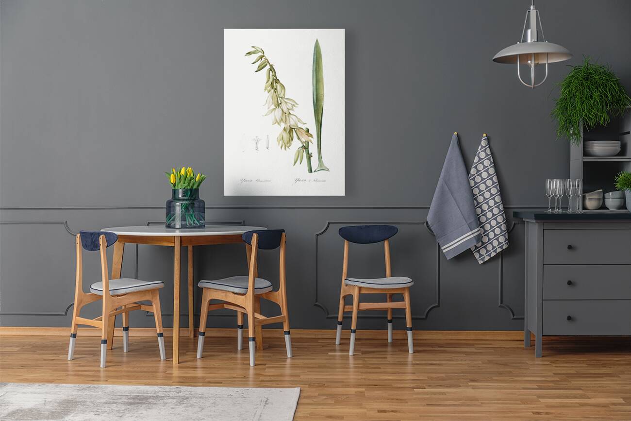 Adam & needle illustration  Reproduction