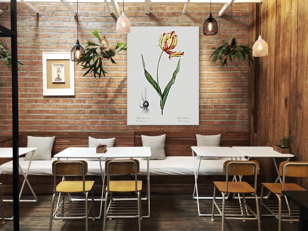 African flag illustration  Reproduction