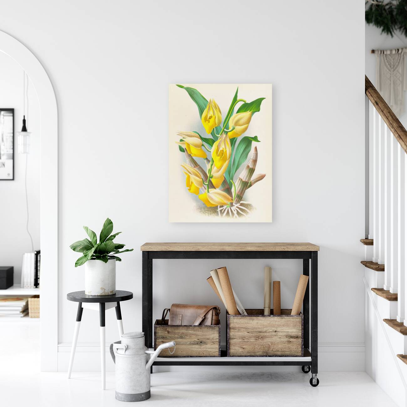 Catasetum macrocarpum Reproduction