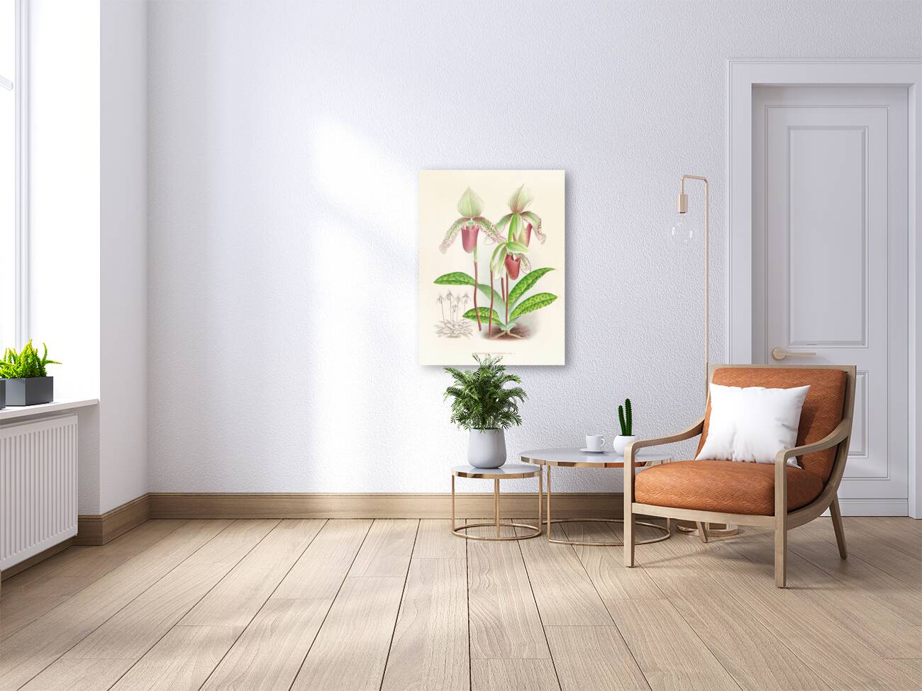 Cypripedium superbiens  Reproduction