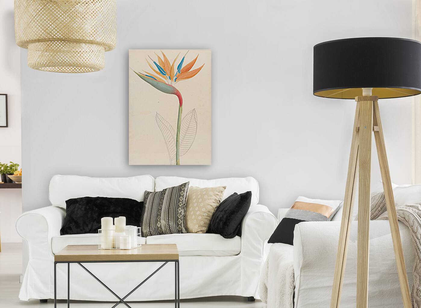 Strelitzia Reginae 1817 Reproduction