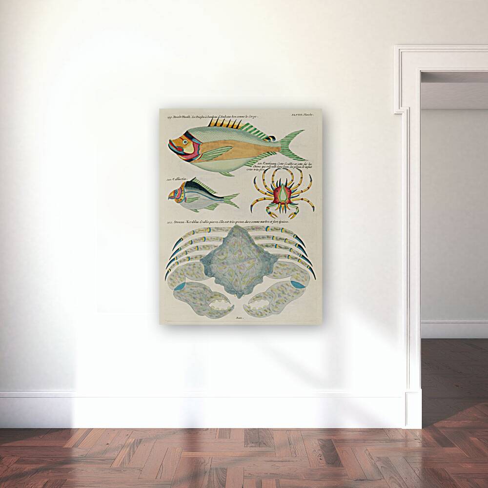 Colourful and surreal illustrations of fishes found in Moluccas Indonesia and the East Indies by Louis Renard 1678 -1746 from Histoire naturelle des plus rares curiositez de la mer des Indes 1754. Reproduction