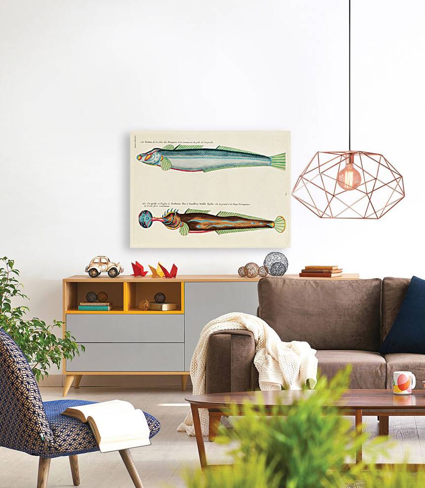 Colourful and surreal illustrations of fishes found in Moluccas Indonesia and the East Indies by Louis Renard 1678 -1746 from Histoire naturelle des plus rares curiositez de la mer des Indes 1754. Reproduction