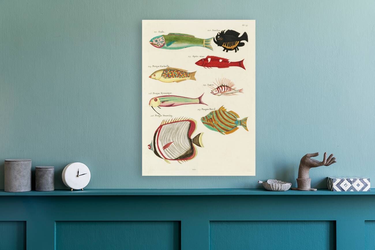 Colourful and surreal illustrations of fishes found in Moluccas Indonesia and the East Indies by Louis Renard 1678 -1746 from Histoire naturelle des plus rares curiositez de la mer des Indes 1754. Reproduction