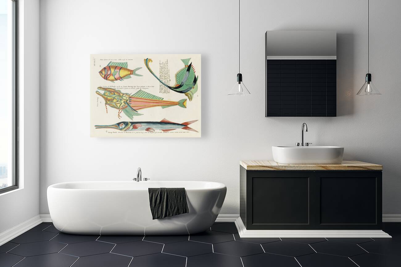 Colourful and surreal illustrations of fishes found in Moluccas Indonesia and the East Indies by Louis Renard 1678 -1746 from Histoire naturelle des plus rares curiositez de la mer des Indes 1754. Reproduction