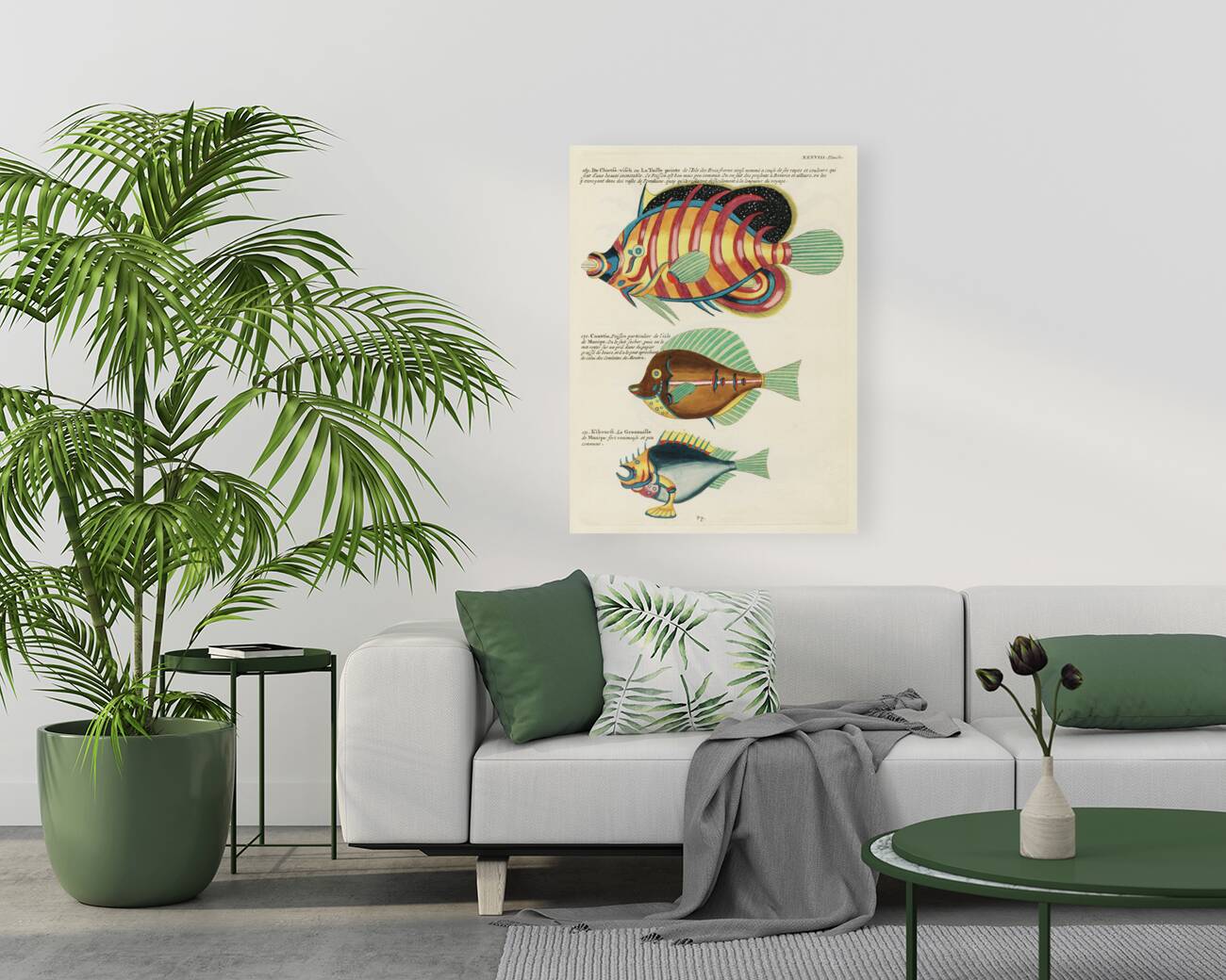 Colourful and surreal illustrations of fishes found in Moluccas Indonesia and the East Indies by Louis Renard 1678 -1746 from Histoire naturelle des plus rares curiositez de la mer des Indes 1754. Reproduction