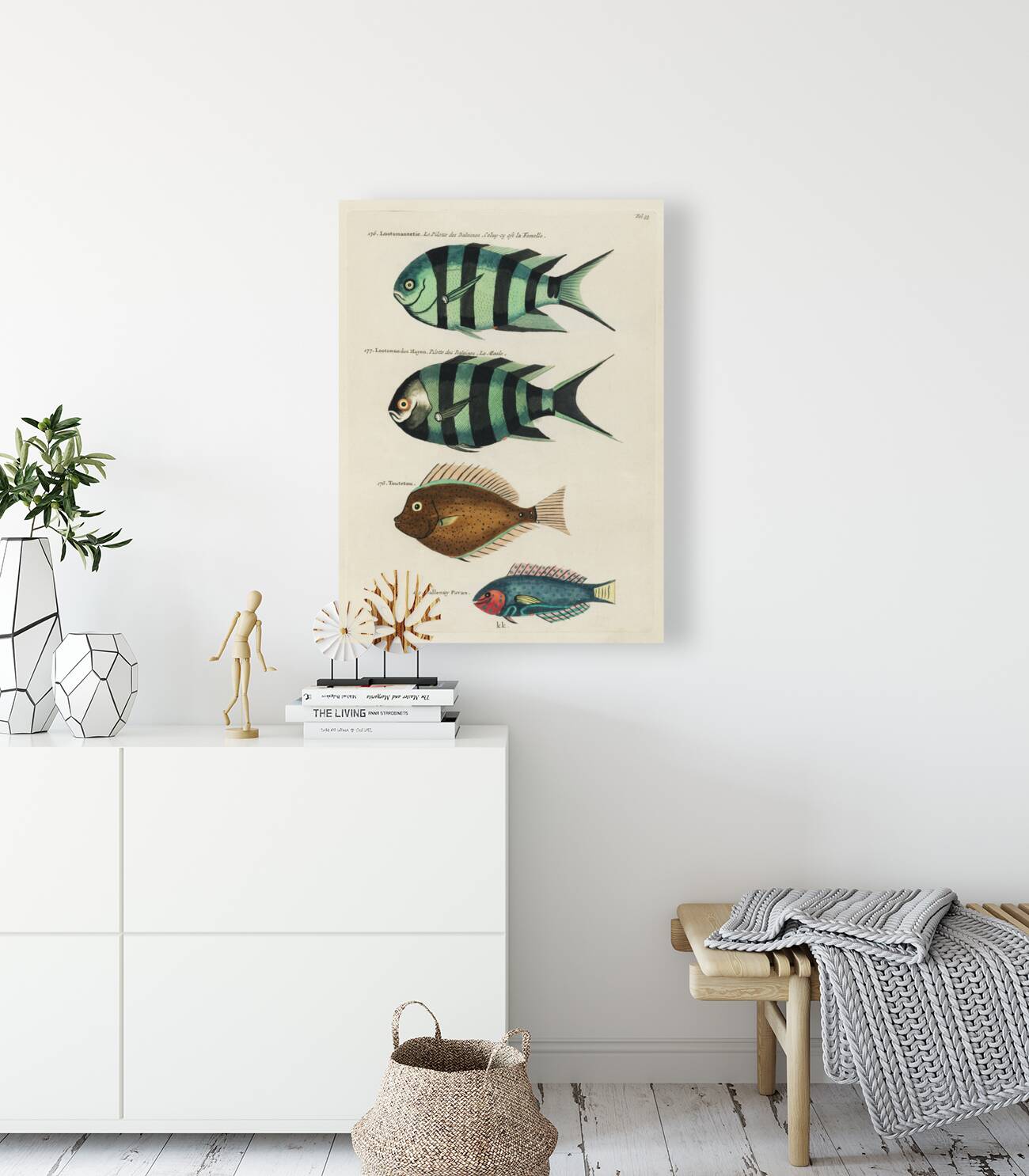 Colourful and surreal illustrations of fishes found in Moluccas Indonesia and the East Indies by Louis Renard 1678 -1746 from Histoire naturelle des plus rares curiositez de la mer des Indes 1754. Reproduction