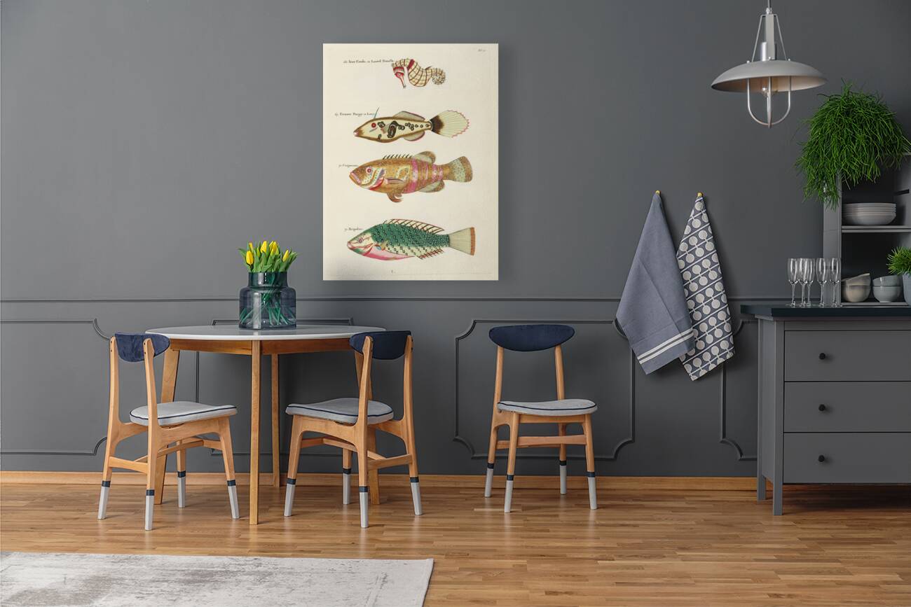 Colourful and surreal illustrations of fishes and sea horse found in Moluccas Indonesia and the East Indies by Louis Renard 1678 -1746 from Histoire naturelle des plus rares curiositez de la mer des Indes 1754. Reproduction