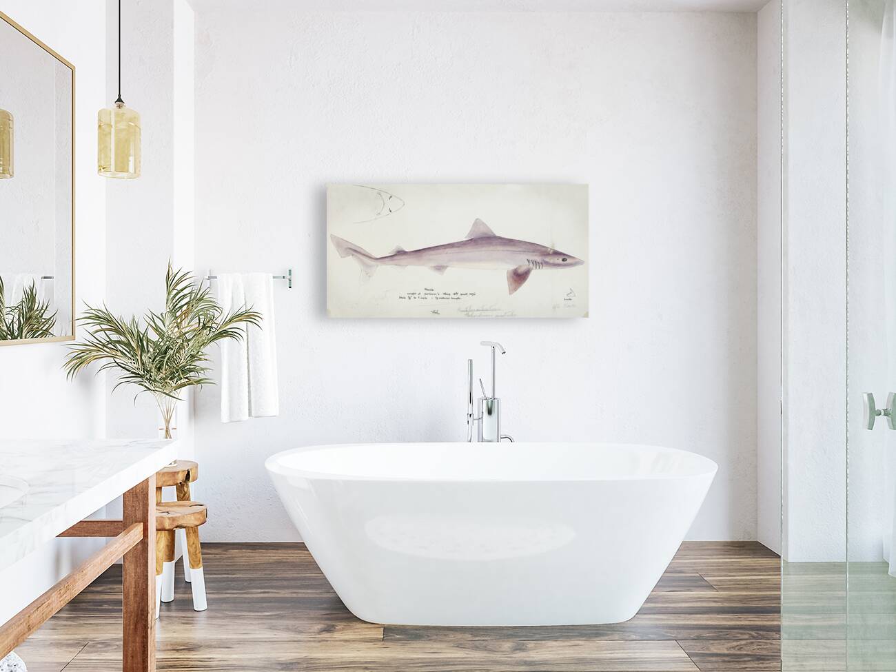 Antique fish myxus elongatus sand mullet South Pacific Fishes by Frank Edward Clarke 1849-1899.  Reproduction