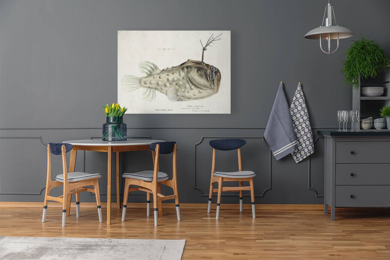 Antique Prickly anglerfish South Pacific Fishes by Frank Edward Clarke 1849-1899.  Reproduction