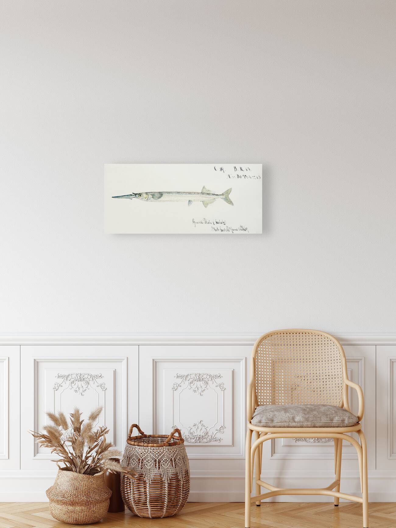 Antique fish hyporhamphus melanochir southern sea garfish South Pacific Fishes by Frank Edward Clarke 1849-1899.  Reproduction