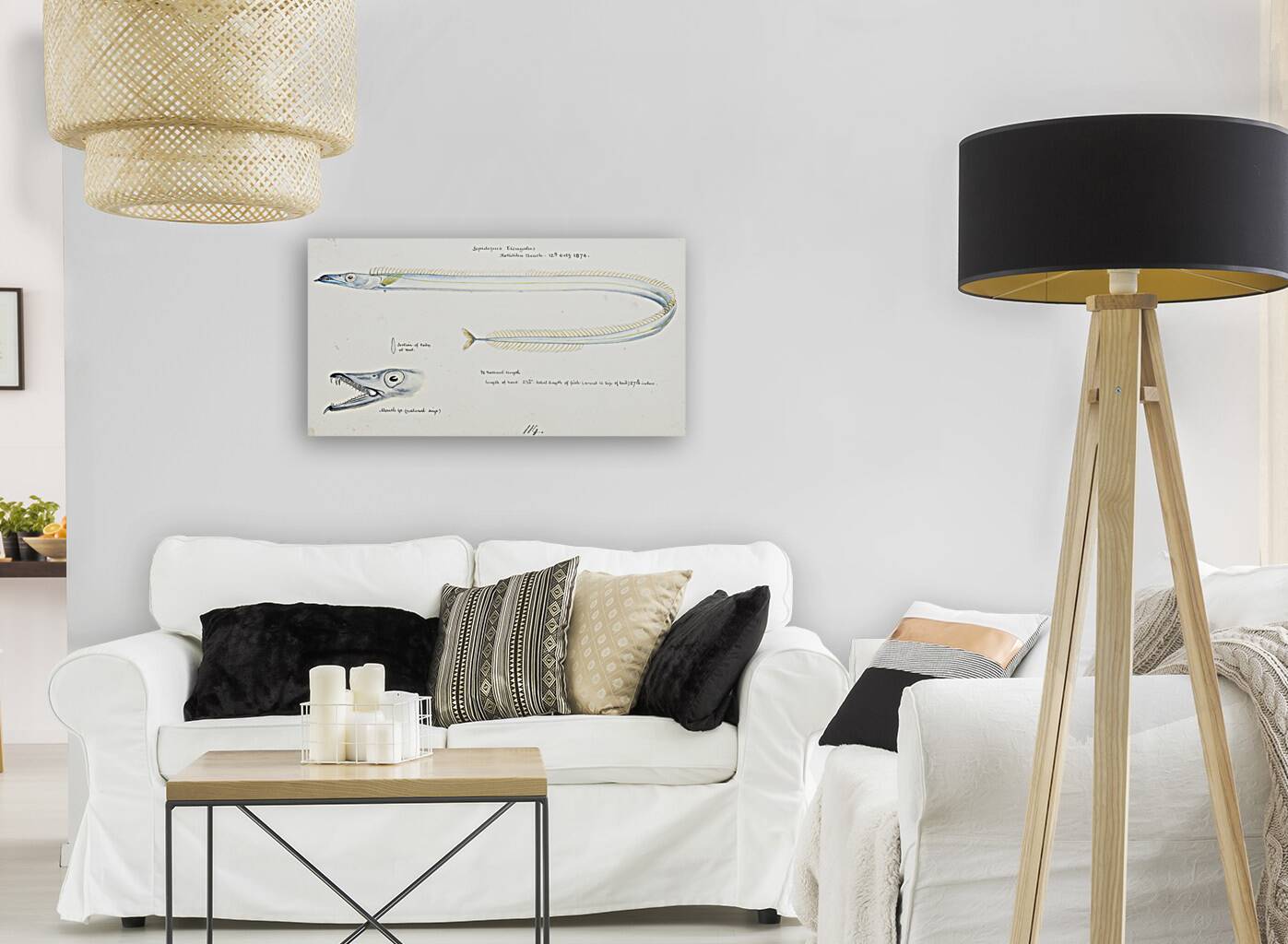 Antique fish Benthodesmus Elongatus South Pacific Fishes by Frank Edward Clarke 1849-1899.  Reproduction