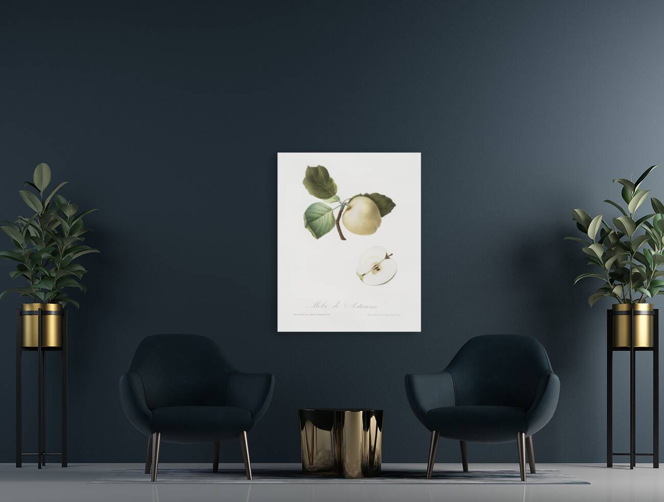 Astracan Apple Malus astracanensis from Pomona Italiana 1817 - 1839 by Giorgio Gallesio 1772-1839.  Reproduction