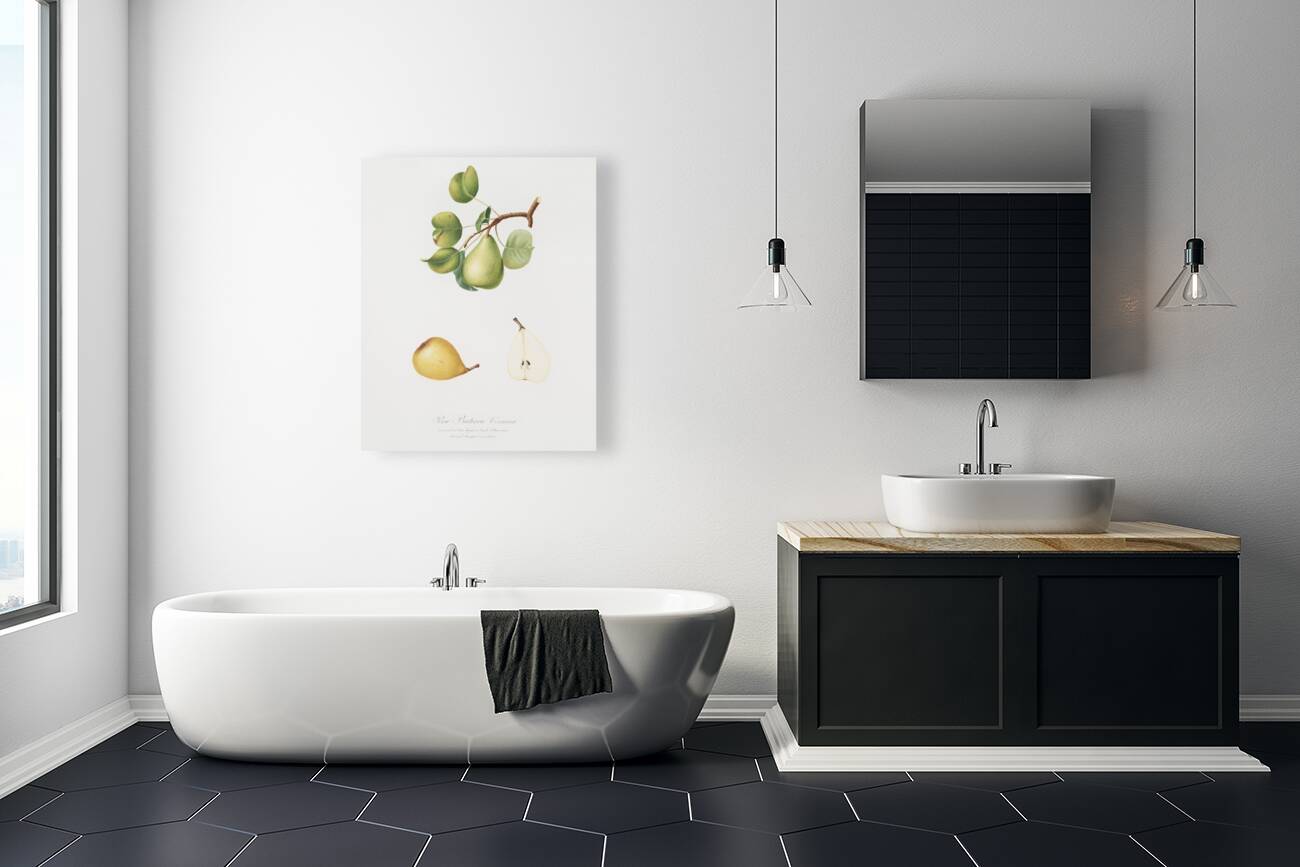 Pear Pyrus Luisa from Pomona Italiana 1817 - 1839 by Giorgio Gallesio 1772-1839.  Reproduction