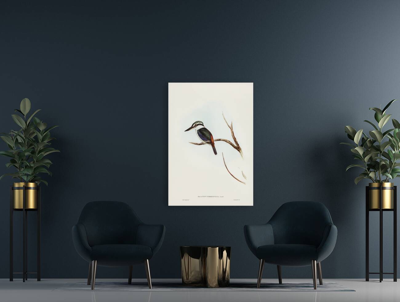 Red-backed Halcyon Halcyon pyrrhopygia illustrated by Elizabeth Gould 1804–1841 for John Gould’s 1804-1881 Birds of Australia  Reproduction