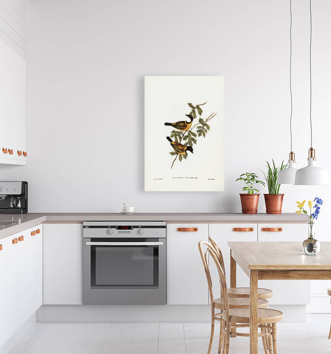 Black-tailed Pachycephala Pachycephala melanura illustrated by Elizabeth Gould 1804–1841 for John Gould’s 1804-1881 Birds of Australia  Reproduction