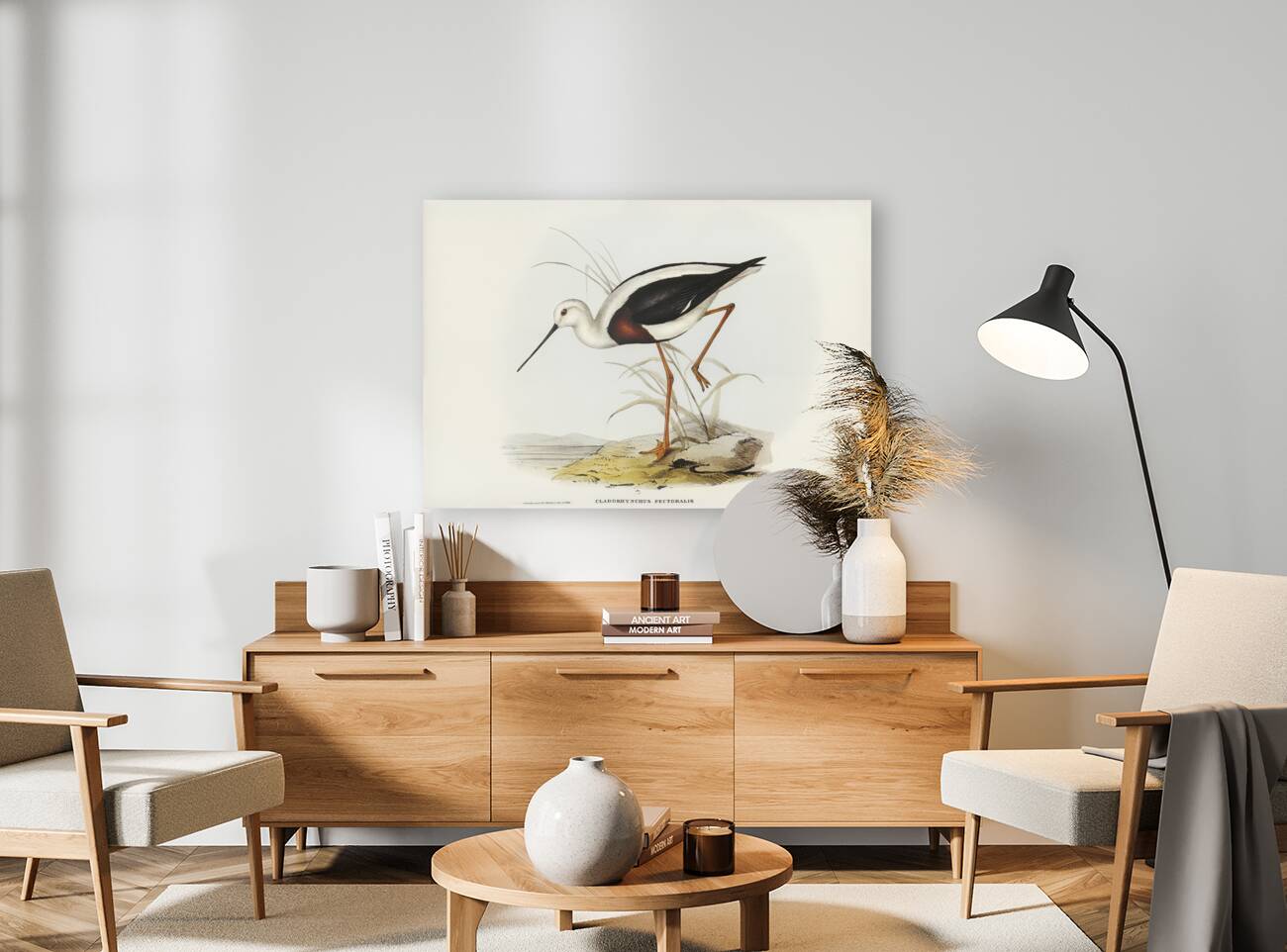 Banded Stilt Chladorhynchus pectoralis illustrated by Elizabeth Gould 1804–1841 for John Gould’s 1804-1881 Birds of Australia  Reproduction