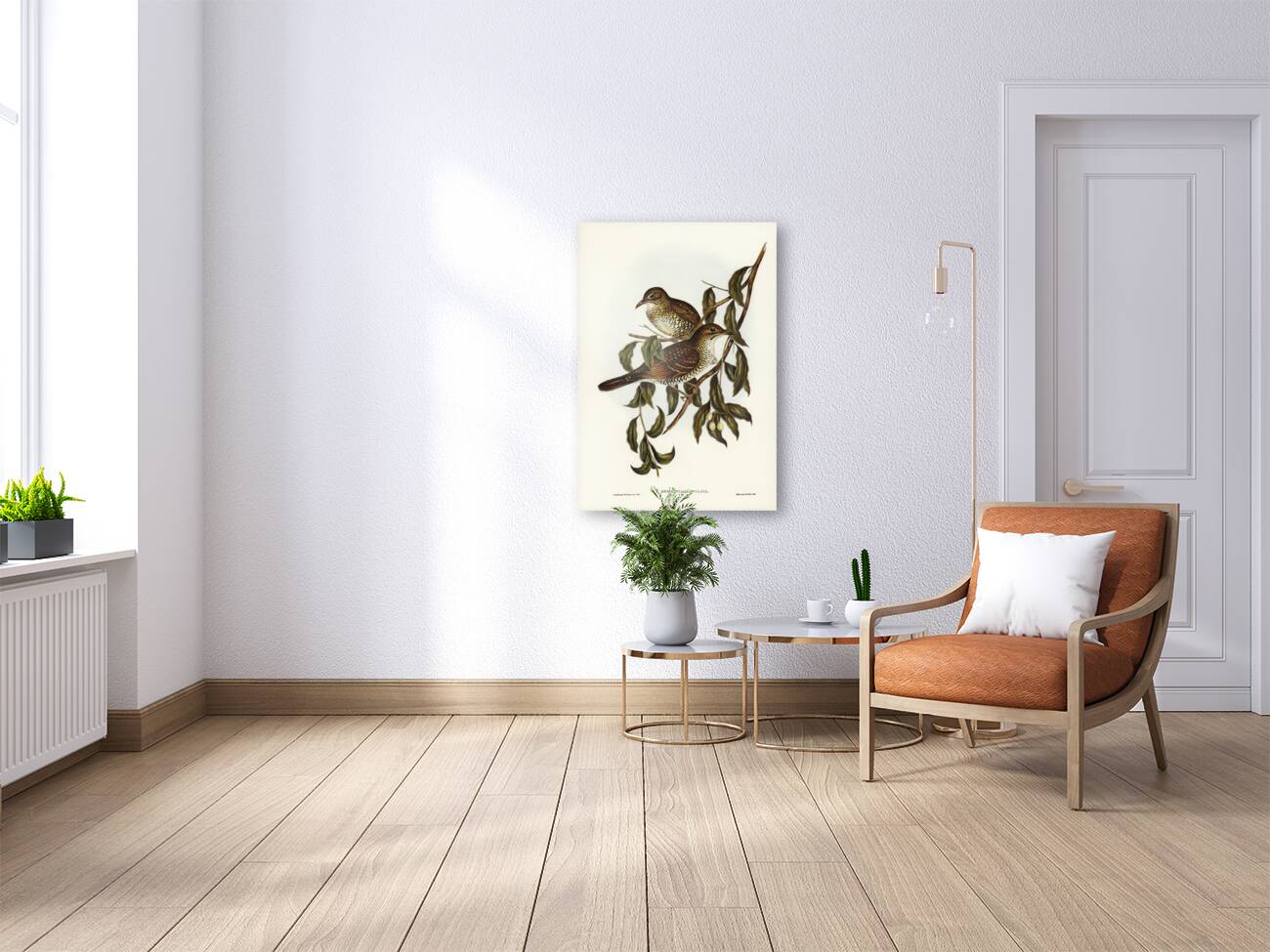 Moutain Thrush Oreocincla lunulata illustrated by Elizabeth Gould 1804–1841 for John Gould’s 1804-1881 Birds of Australia  Reproduction