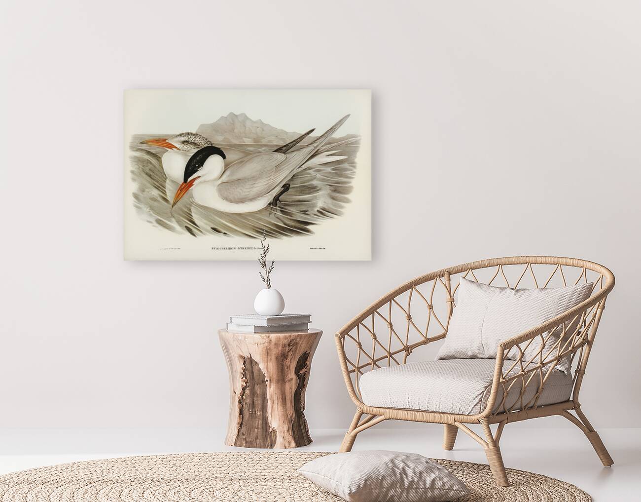 Powerful Tern Sylochelidon strenuus illustrated by Elizabeth Gould 1804–1841 for John Gould’s 1804-1881 Birds of Australia  Reproduction