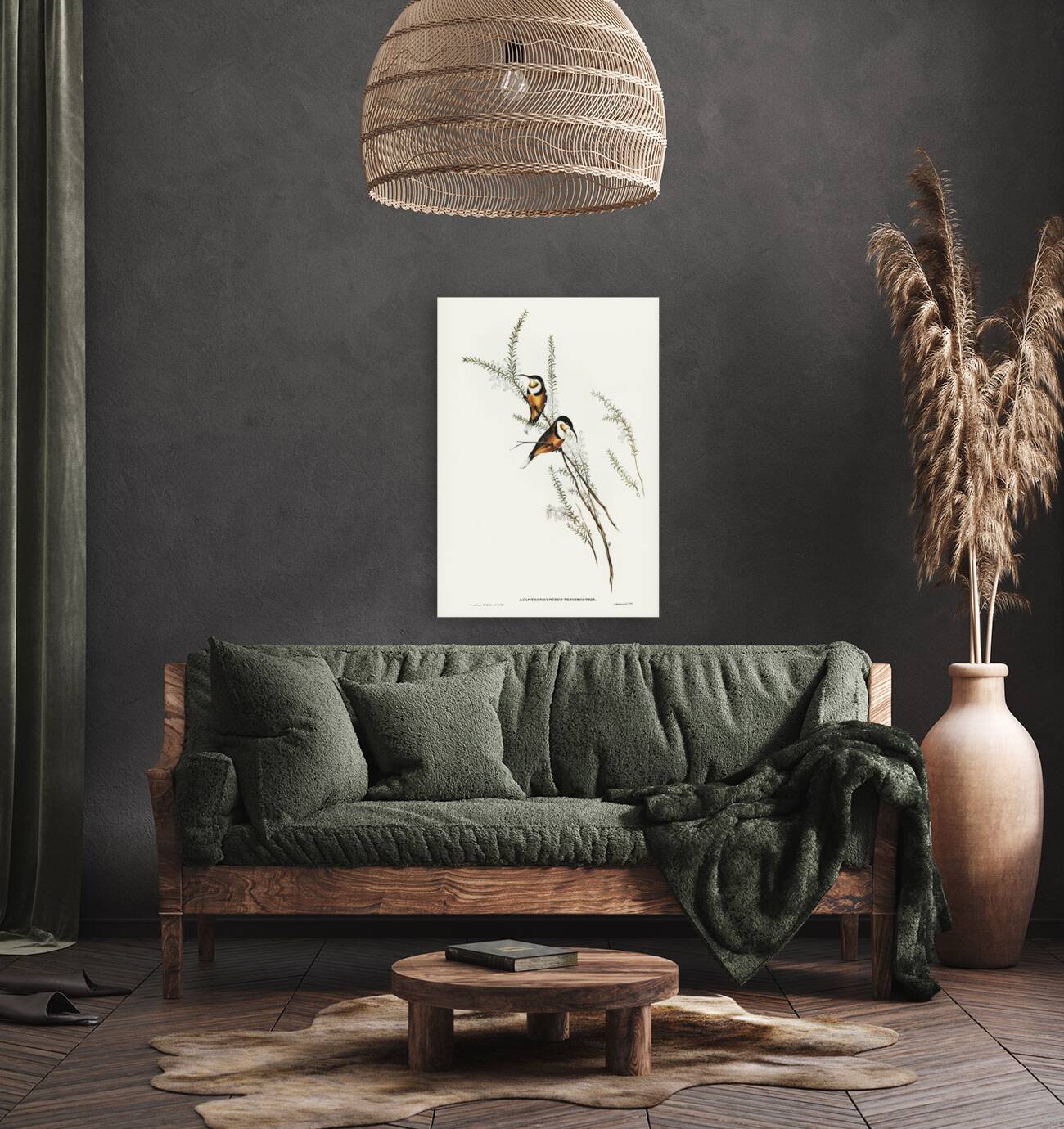 Slender-billed Spine-bill Acanthorhynchus tenuirostris illustrated by Elizabeth Gould 1804–1841 for John Gould’s 1804-1881 Birds of Australia  Reproduction