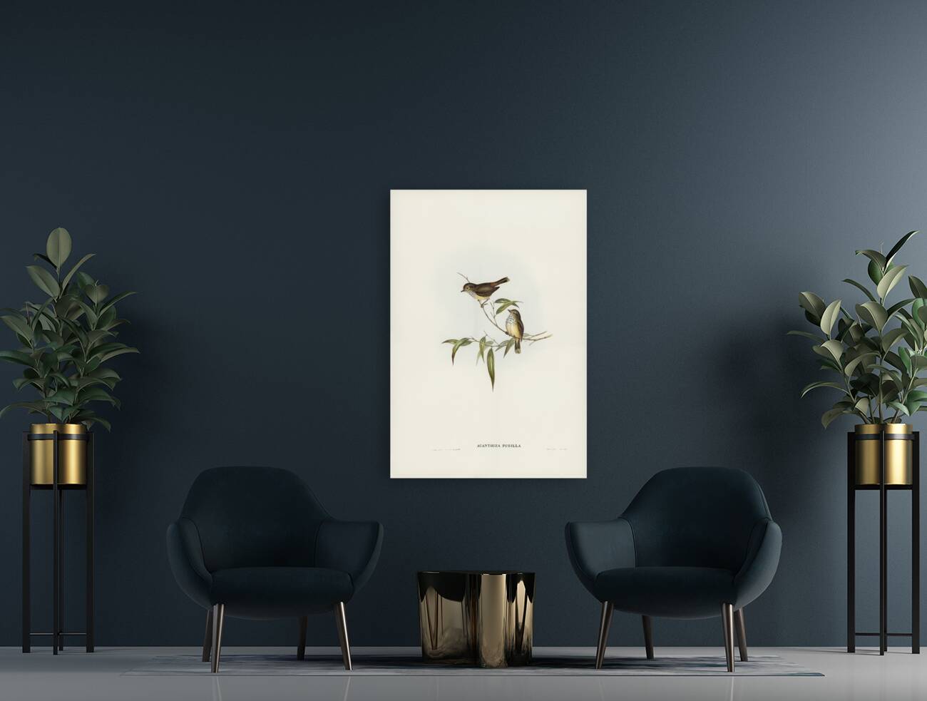 Little Brown Acanthiza Acanthiza pusilla illustrated by Elizabeth Gould 1804–1841 for John Gould’s 1804-1881 Birds of Australia  Reproduction