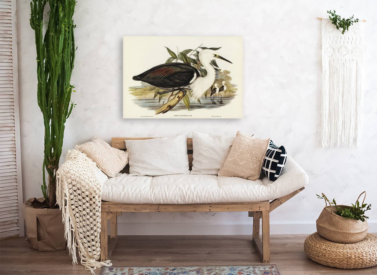 Pacific Heron Ardea pacifica illustrated by Elizabeth Gould 1804–1841 for John Gould’s 1804-1881 Birds of Australia  Reproduction