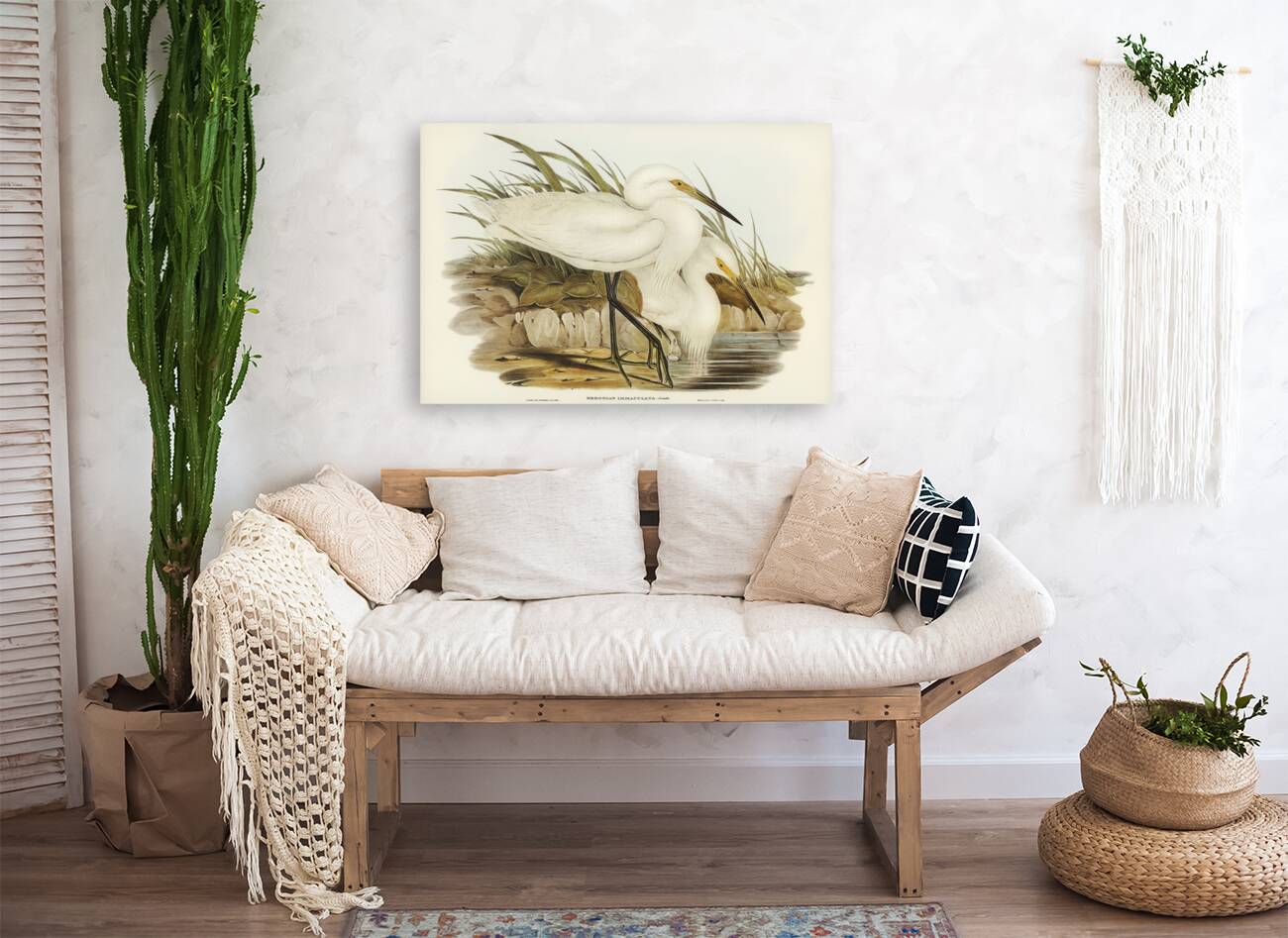 Thick-billed Green Bittern Ardetta macrorhyncha illustrated by Elizabeth Gould 1804–1841 for John Gould’s 1804-1881 Birds of Australia  Reproduction