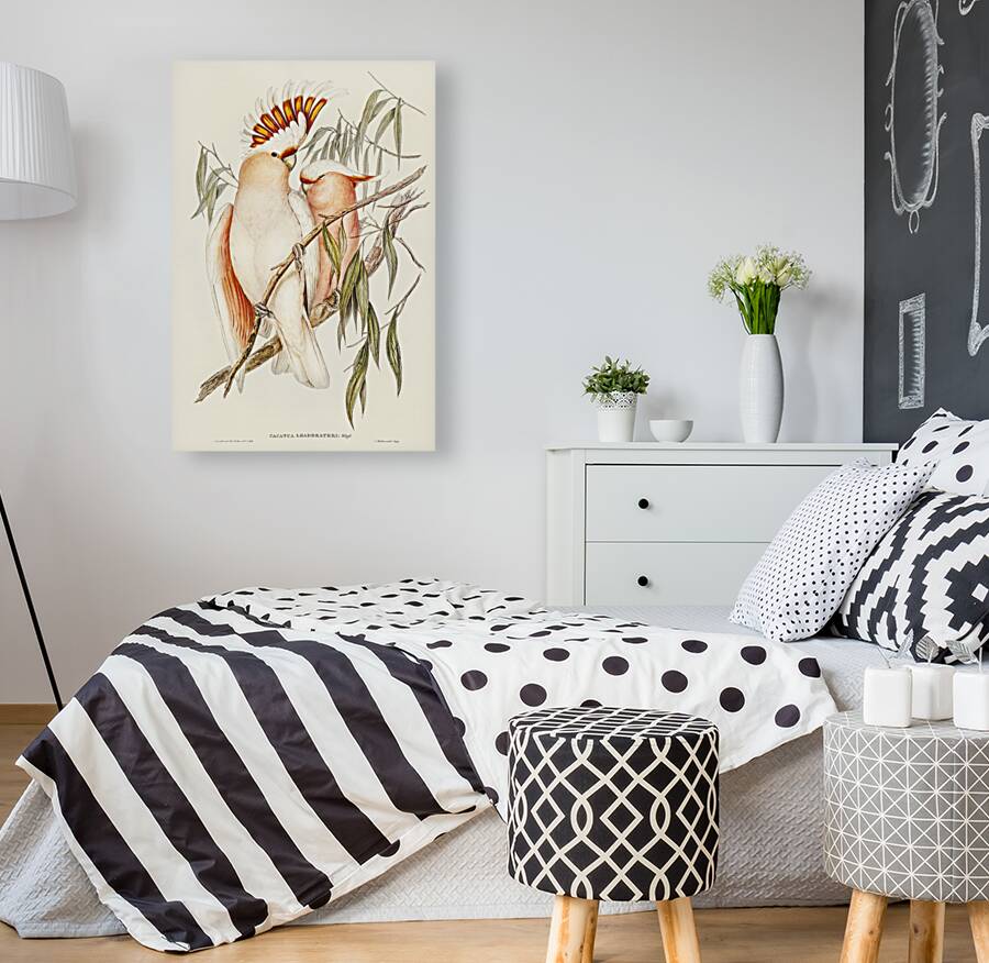 Leadbeaters Cockatoo Cacatua Leadbeaterii illustrated by Elizabeth Gould 1804–1841 for John Gould’s 1804-1881 Birds of Australia  Reproduction