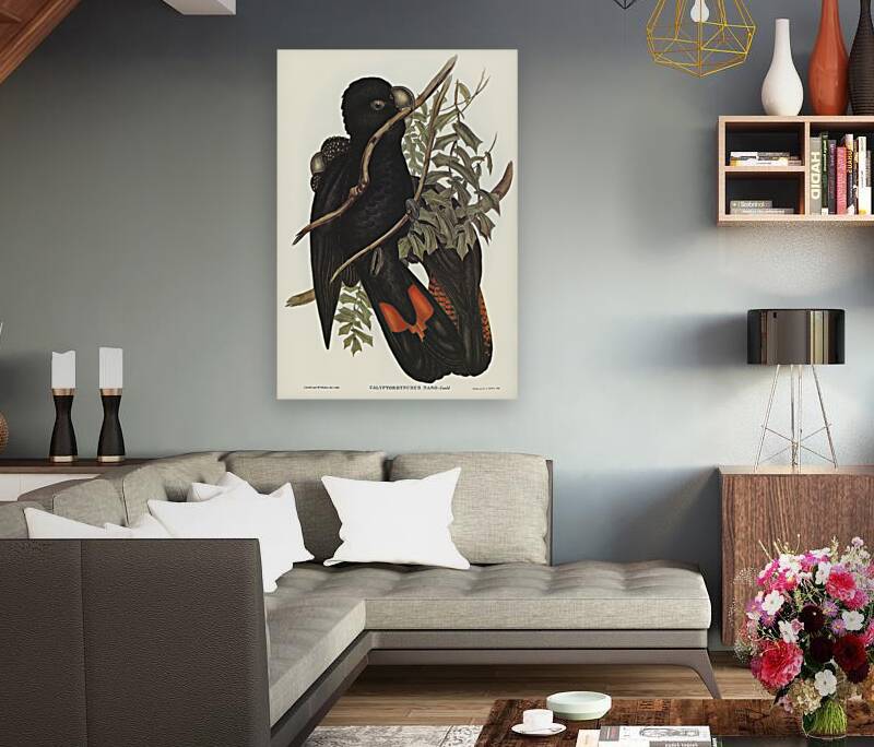 Western Black Cockatoo Calyptorhynchus naso illustrated by Elizabeth Gould 1804–1841 for John Gould’s 1804-1881 Birds of Australia  Reproduction