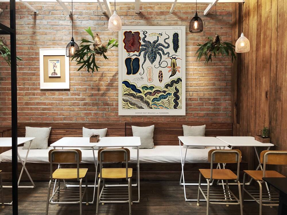 Barrier Reef Molluscs and Planarians from The Great Barrier Reef of Australia 1893 by William Saville-Kent 1845-1908. Fig 1: Flat worm Pseudoceros KentiiFig 2: Planarian Pseudoceros DimidiatusFig 3: Blue spotted Octopus Octopus PictusFig 4: Sea-hare A Reproduction