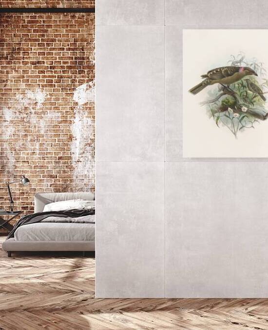 Chlamydodera nuchalis 1873  by IStockHistory com