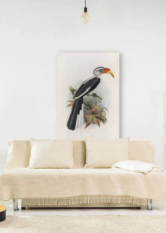 Tockus deckeni 1882 by IStockHistory com