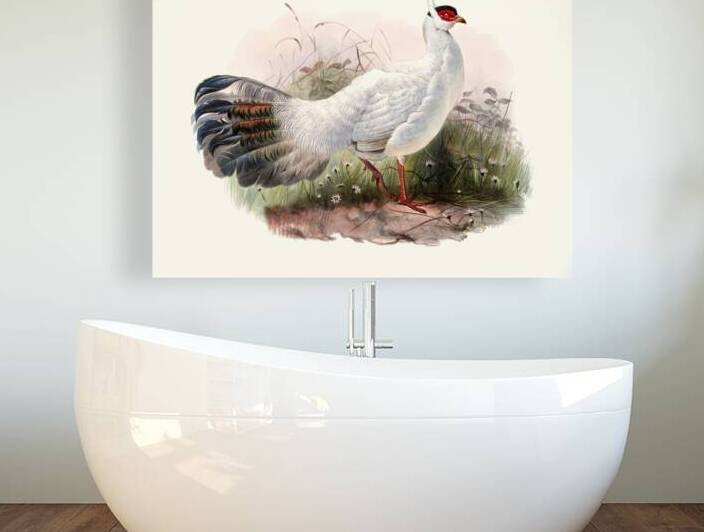 Crossoptilon Drouynii. 1872 by IStockHistory com