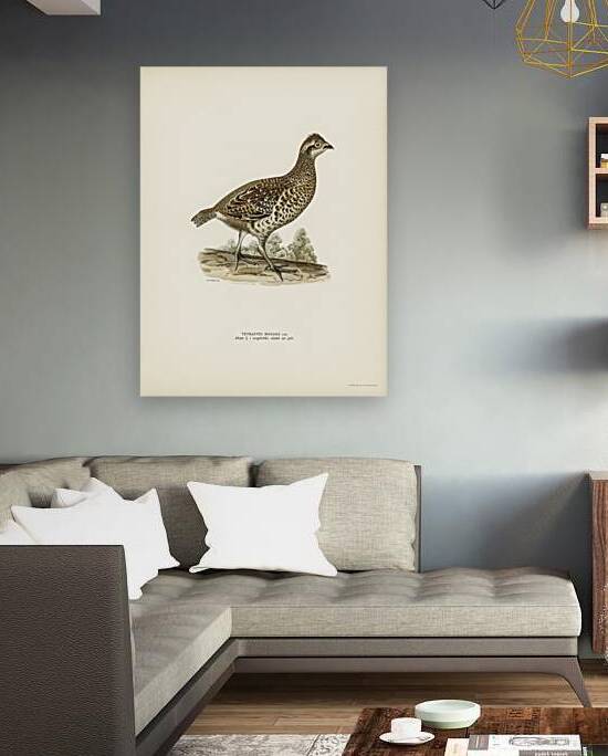 Hazel grouse tetrastes bonasia by IStockHistory com