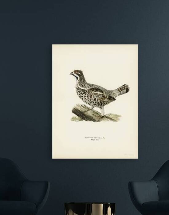 Hazel grouse Tetrastes bonasia by IStockHistory com