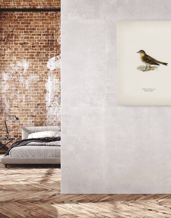 Red-throated pipit Anthus cervinus bird by IStockHistory com