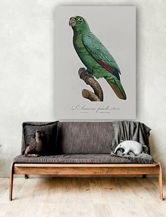 Yellow-crowned amazon by IStockHistory com